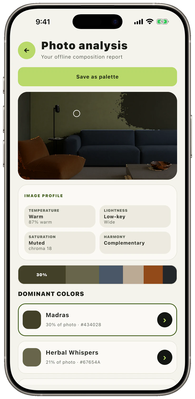 Cromia photo analysis showing dominant colours and a complementary harmony